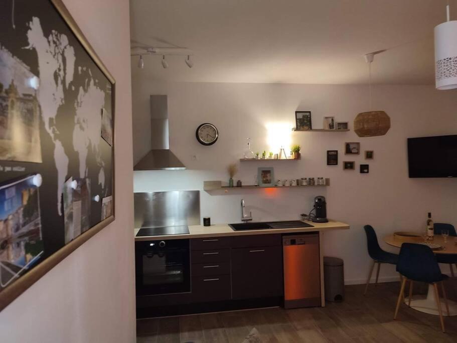 Appartement Cosy Au Pied Des Halles,Le Rossini ناربون المظهر الخارجي الصورة